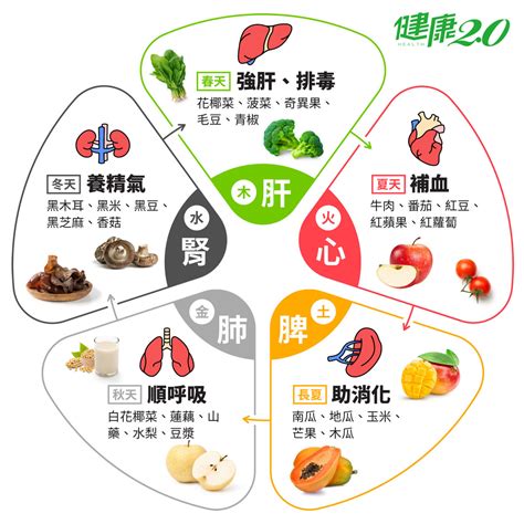 紅色食物五行|五行五色挑食法，吃出抗病力｜健康2.